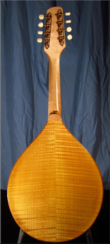 laughlin Red Cedar mandolin
